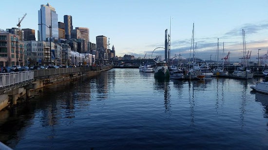 A view of the water in downtown Seattle filled with sail boats
